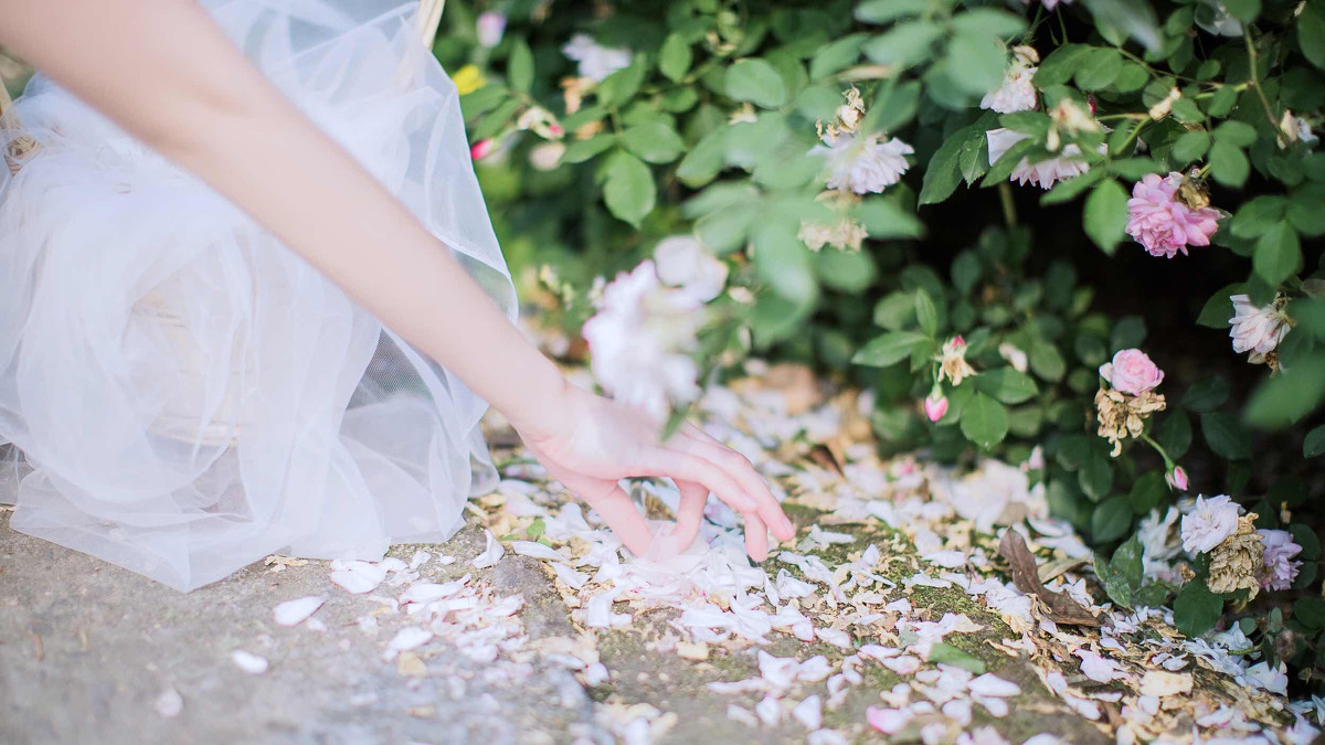 蔷薇之恋  第28张