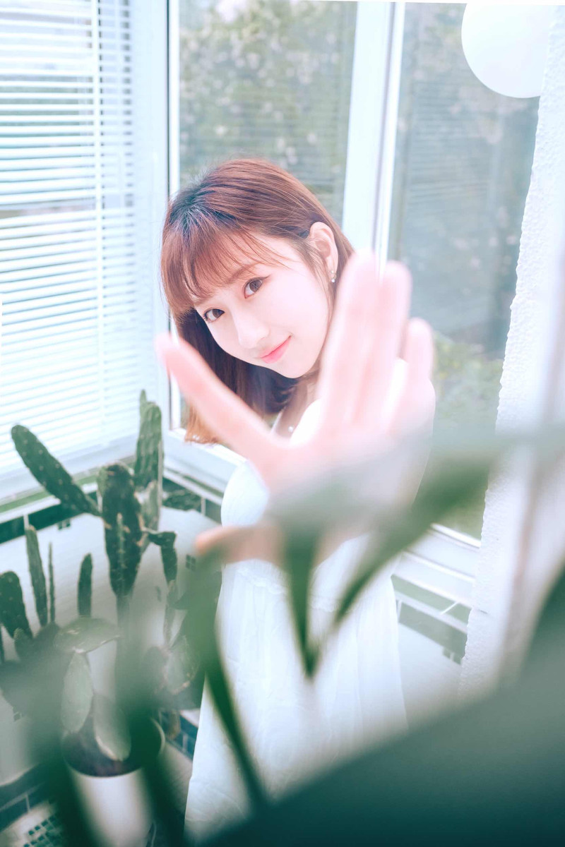 你的岁月  第17张