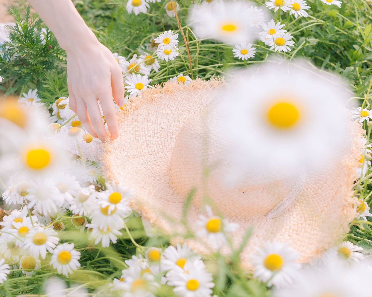 遇见夏天  第2张