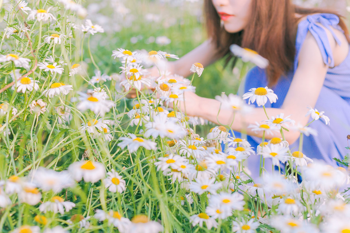 遇见夏天  第8张