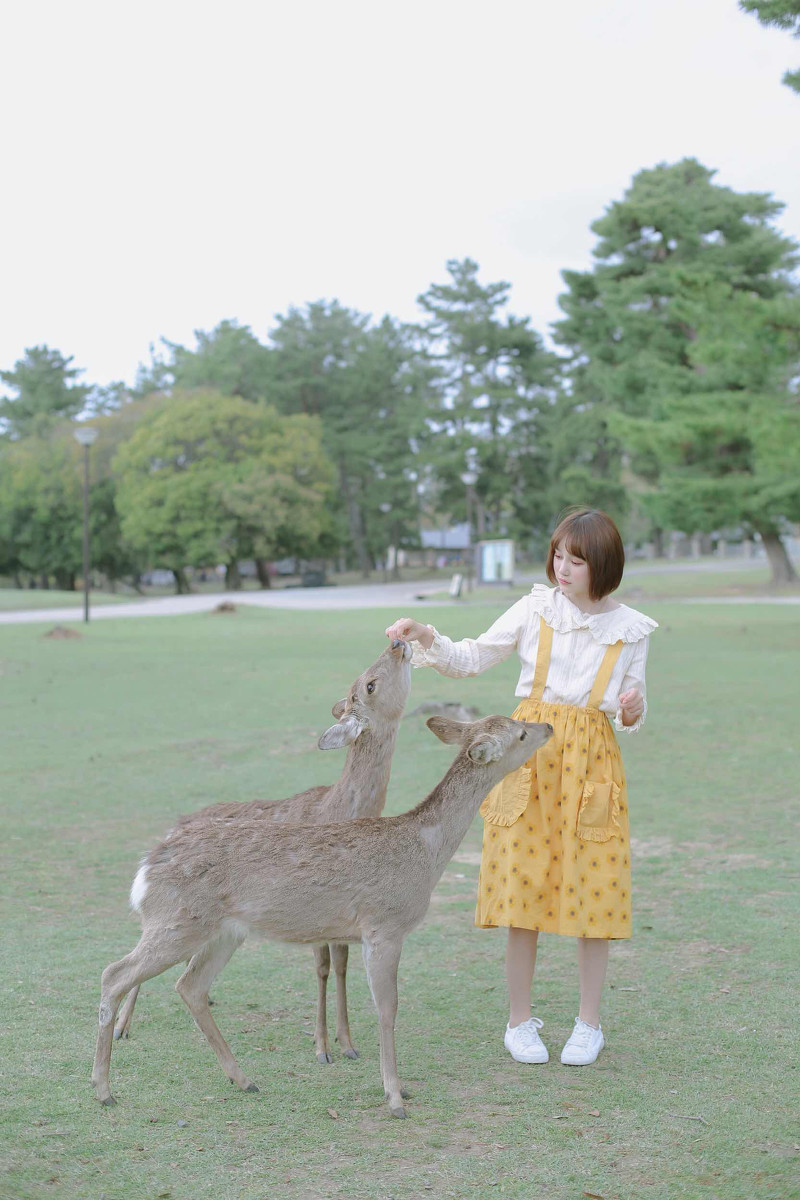最美的风景  第8张