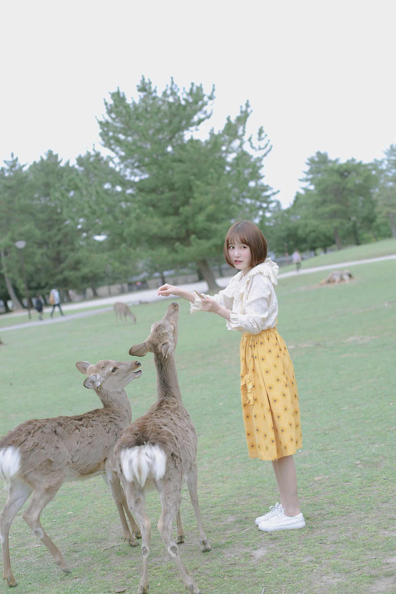 最美的风景  第11张