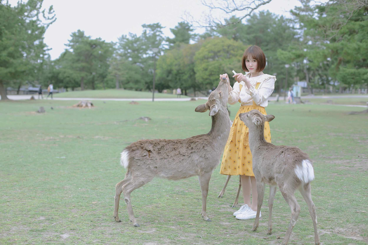 最美的风景  第14张