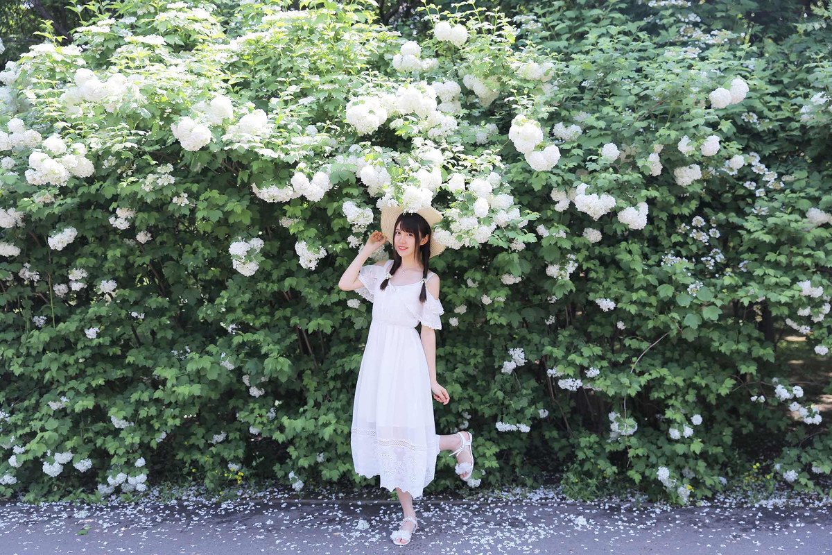 晨光清甜  第13张