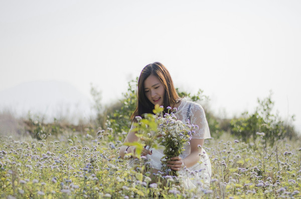 花儿朵朵开  第15张