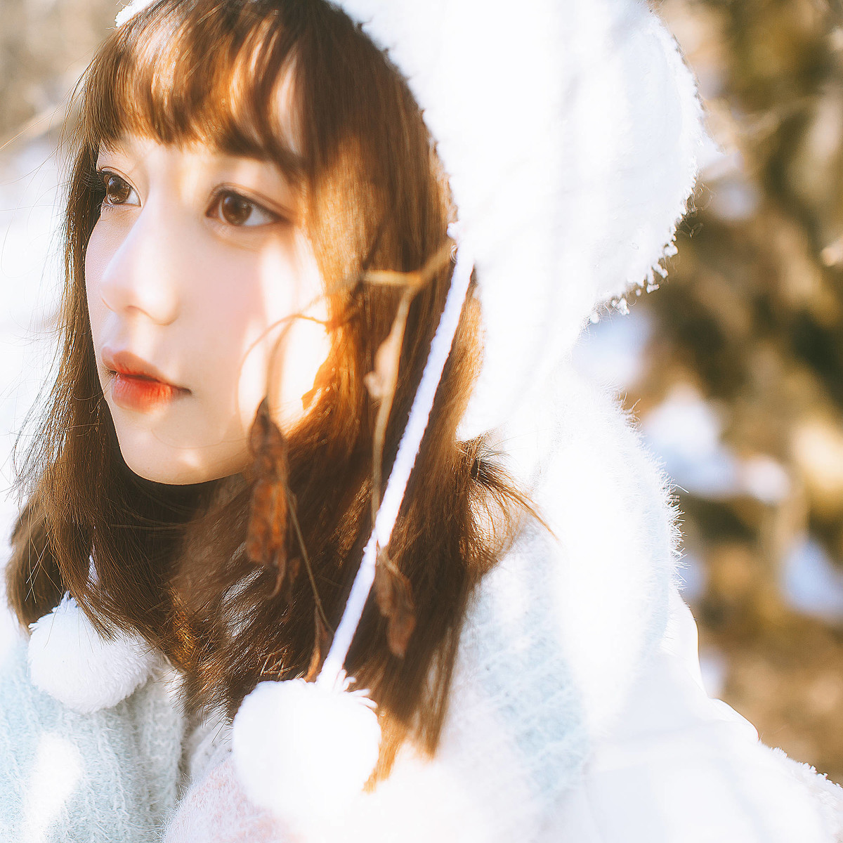 冬雪
