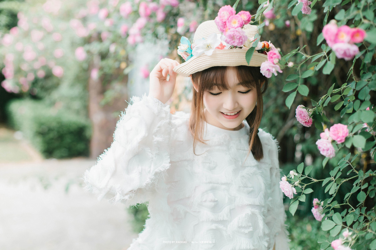 The rose in the wind