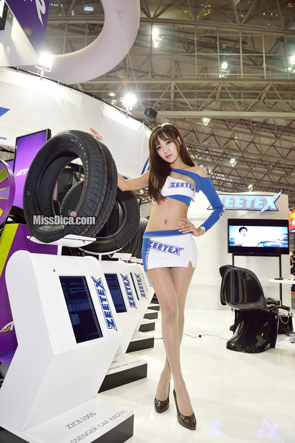 2015年东京车展沙龙站性感车模